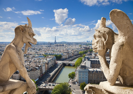 Vue de Paris depuis le sommet de Notre Dame  Jose Ignacio Soto