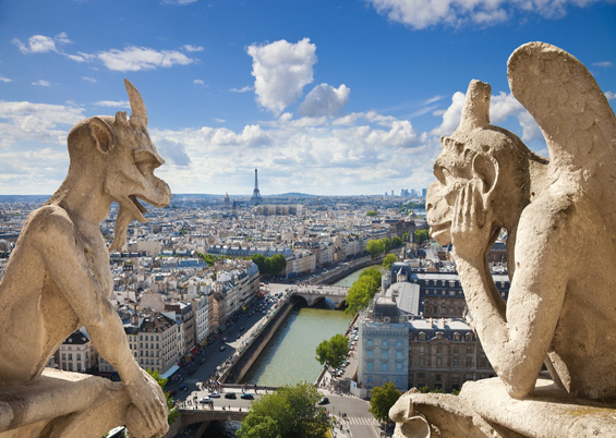 View from the top of Notre Dame Cathedral © Jose Ignacio Soto