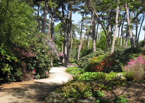 Photo du Parc Floral de Paris - Vincennes  Lotharingia