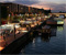 Left bank of the Seine River at night