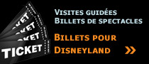 Billets Disneyland Paris